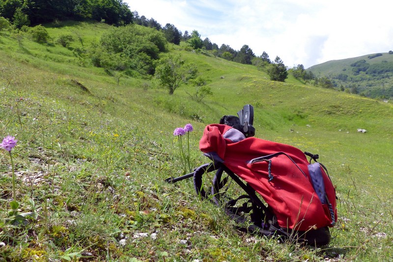 Il lago di Campotosto, orchidee, maltempo eschiarite! maggio/giugno 2023.